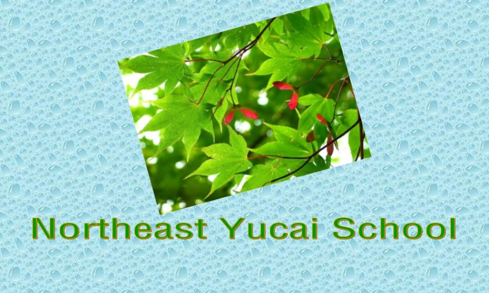 高二英语课件unti17 Disabled Not me人教版 课件