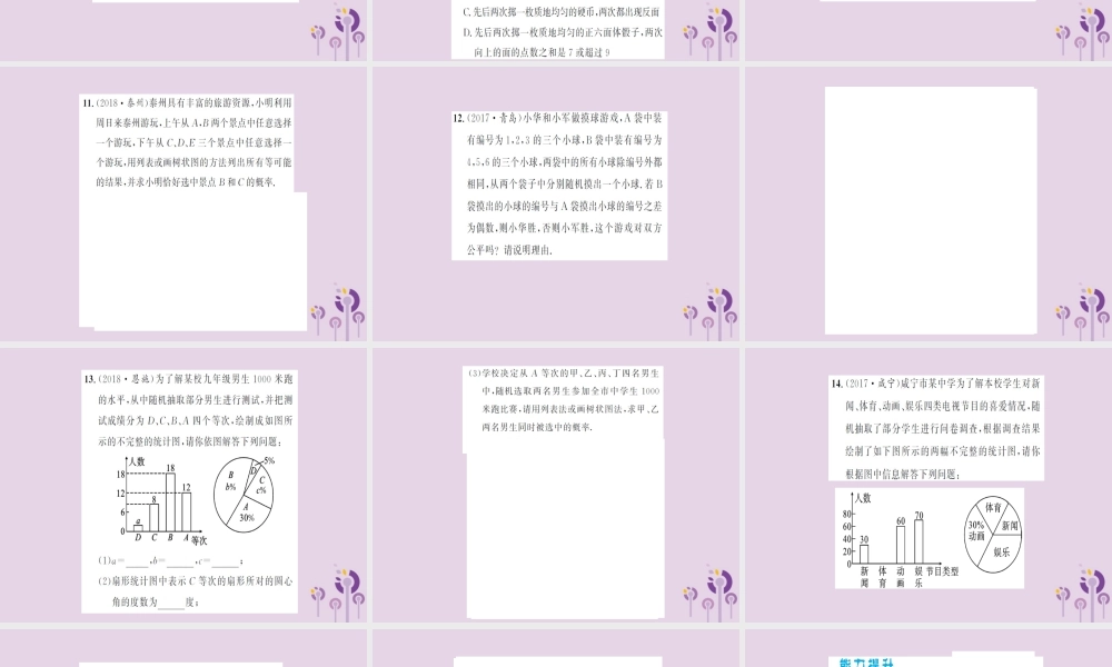 湖北省中考数学一轮复习 第八章 统计与概率 第二节 概率(习题提升)课件