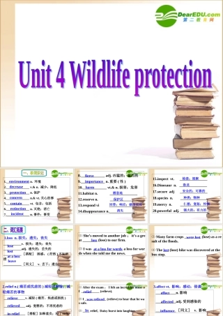 高考英语一轮复习 Book Two Unit 4 Wildlife Protection备考课件
