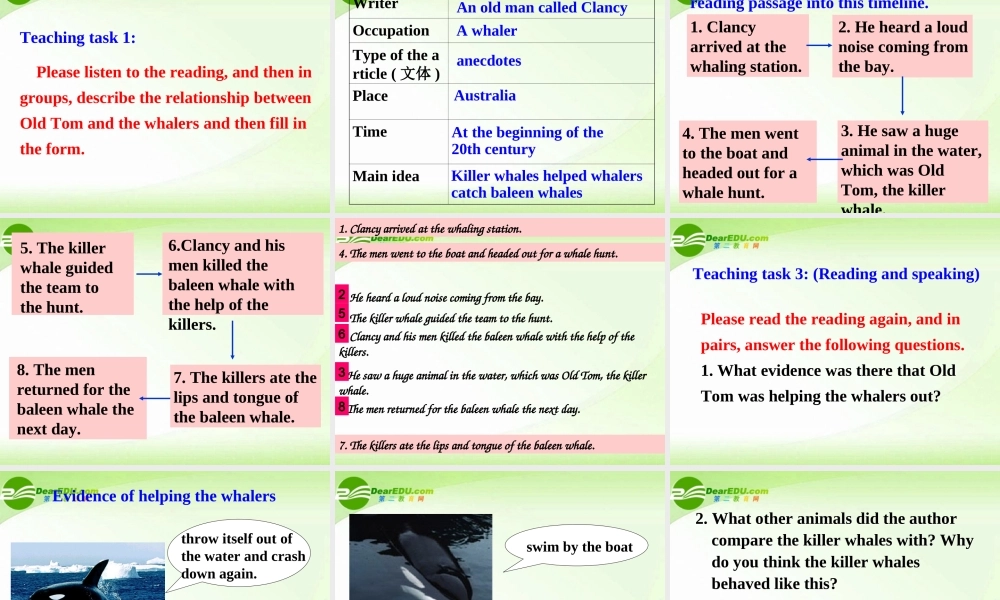 高中英语 Unit 3 Under the sea-Reading课件 新人教版选修7 课件