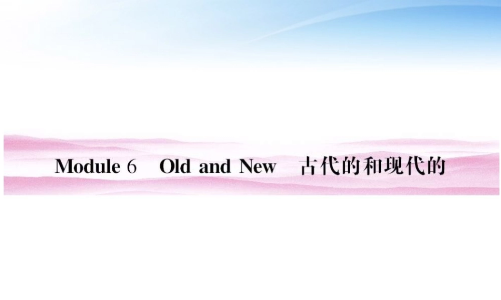 高考英语 Module6 Old and New单元总复习11 课件