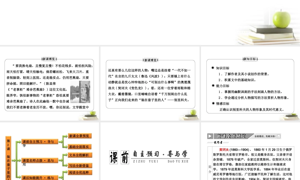 高中语文 12(装在套子里的人)课件 新人教版必修5 课件