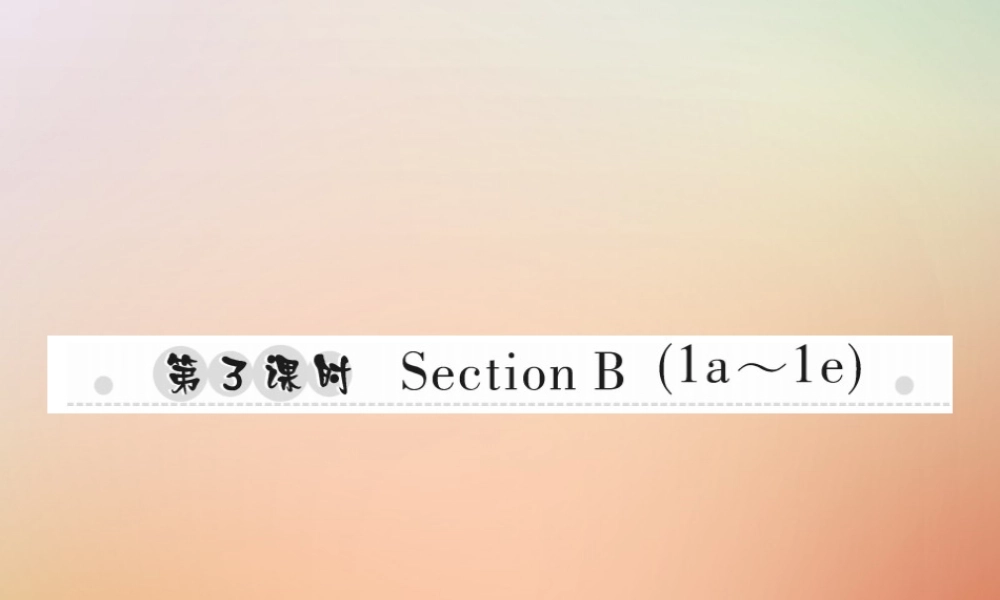 秋八年级英语上册 Unit 1 Where did you go on vacation(第3课时)Section B(1a 1e)习题课件 (新版)人教新目标版 课件