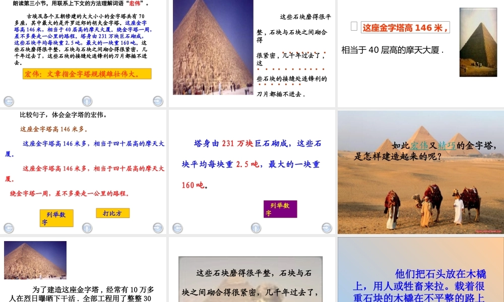 《埃及的金字塔》ppt2