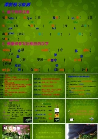 浙江省宁波市慈城中学七年级语文上册 23 绿色蝈蝈课件 (新版)新人教版