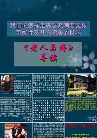 高一语文(老人与海)课件(2)新人教版 课件