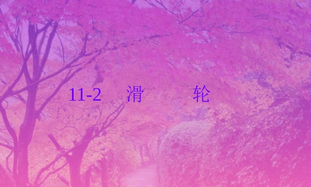 第十一章 滑轮 课件示例 苏科版 课件