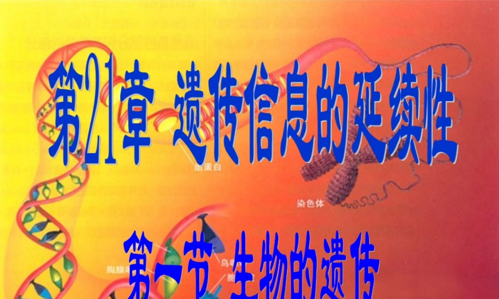第1节 生物的遗传1 八年级生物第1节 生物的遗传1课件 八年级生物第1节 生物的遗传1课件