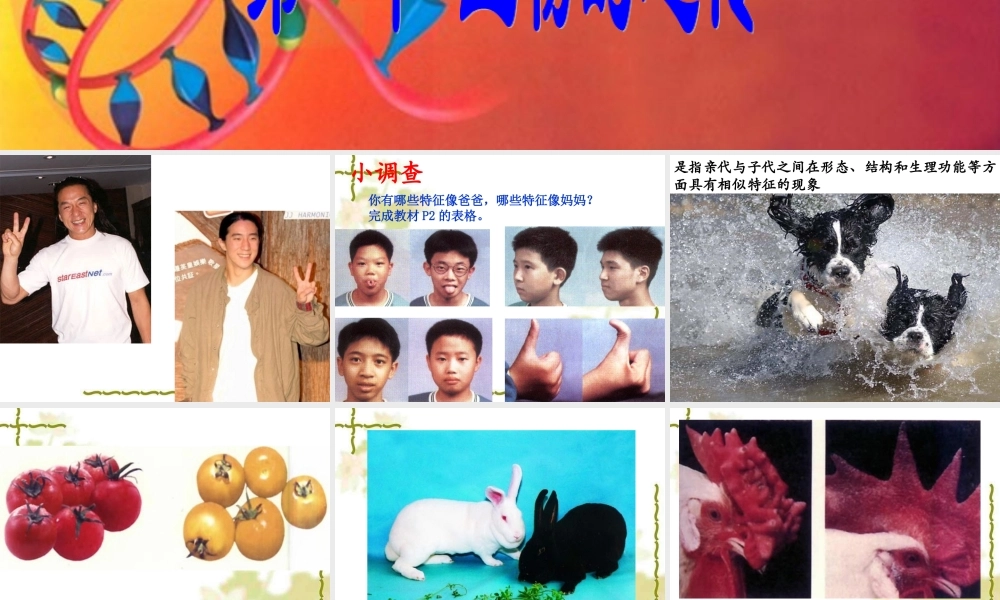 第1节 生物的遗传1 八年级生物第1节 生物的遗传1课件 八年级生物第1节 生物的遗传1课件