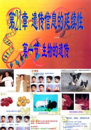 第1节 生物的遗传1 八年级生物第1节 生物的遗传1课件 八年级生物第1节 生物的遗传1课件