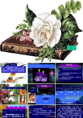 高考语文 用方法之光点亮作文的开头复习课件 新人教版 课件