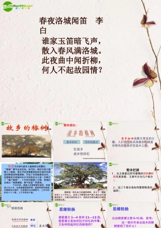 高中语文 13(故乡的榕树)课件 粤教版必修2 课件