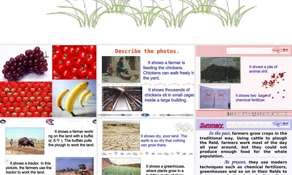 高一英语Unit19 Reading 人教版 课件