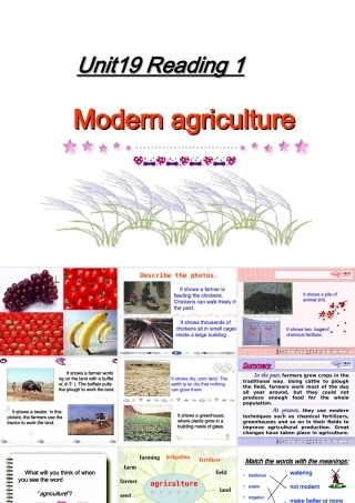 高一英语Unit19 Reading 人教版 课件