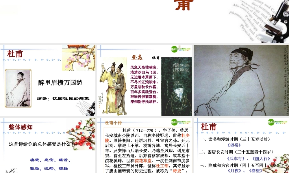 高中语文(登高)课件(6) 语文版必修2 课件