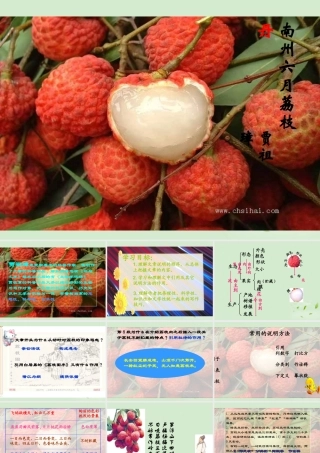 高中语文 1-2-1(南州六月荔枝丹)课件 苏教版必修5 课件