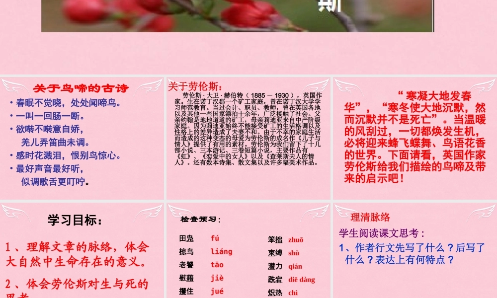 高中语文第一专题珍爱生命鸟啼课件苏教版必修2 课件