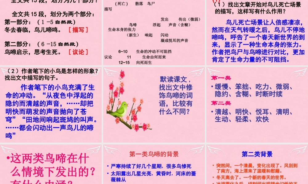 高中语文第一专题珍爱生命鸟啼课件苏教版必修2 课件