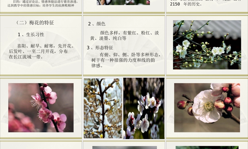 3、中国花鸟画——花卉、禽鸟
