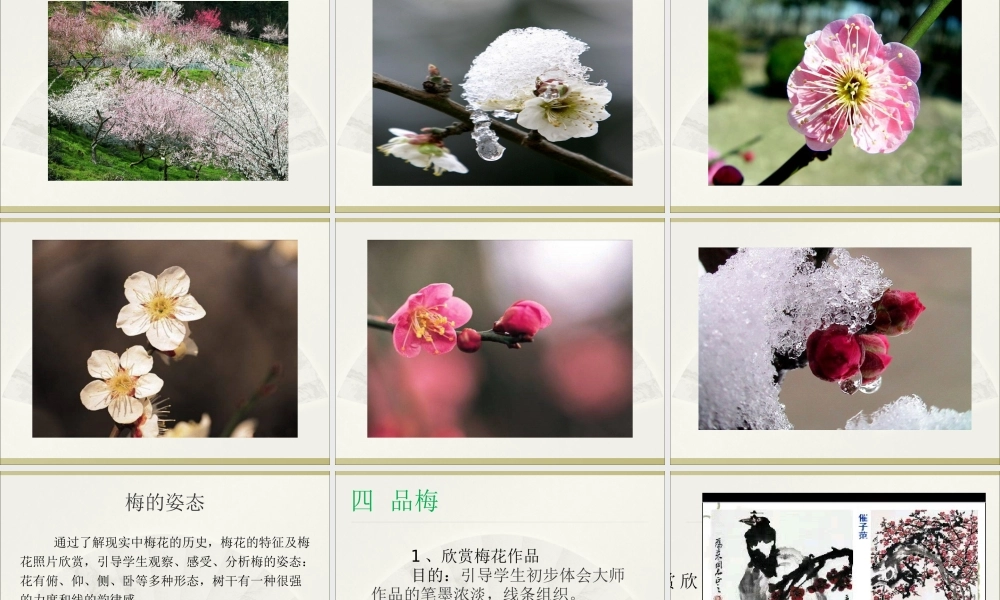 3、中国花鸟画——花卉、禽鸟