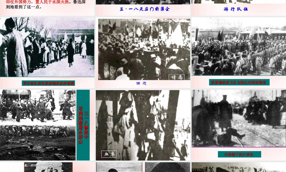 高中语文7纪念刘和珍君课件新人教版必修1 课件