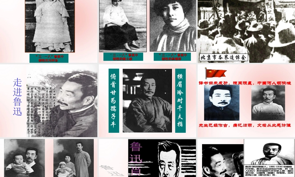 高中语文7纪念刘和珍君课件新人教版必修1 课件