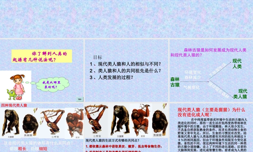 人类起源和发展的课件