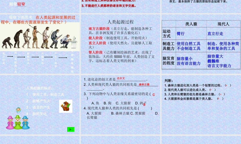 人类起源和发展的课件