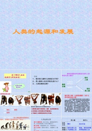 人类起源和发展的课件