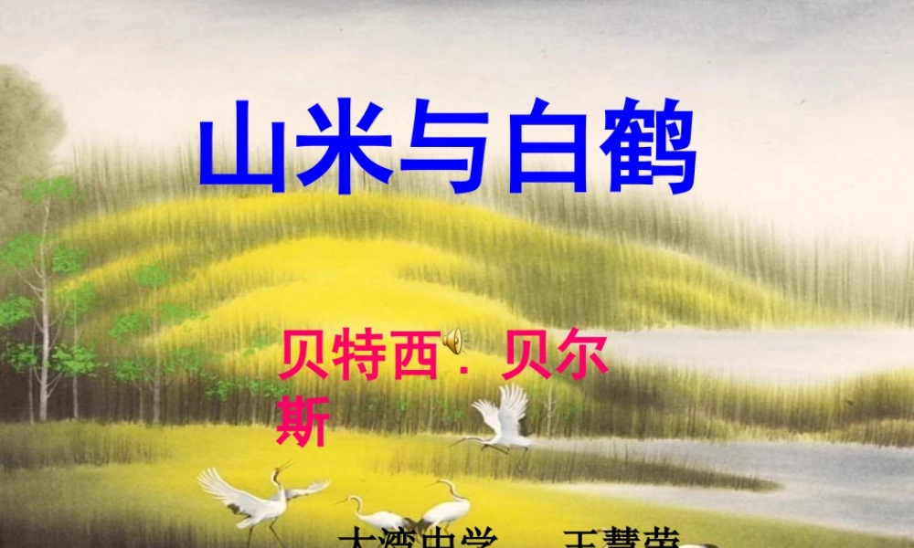 《山米与白鹤》课件2