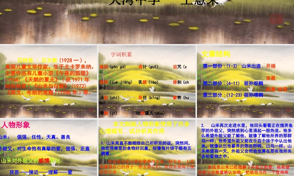 《山米与白鹤》课件2