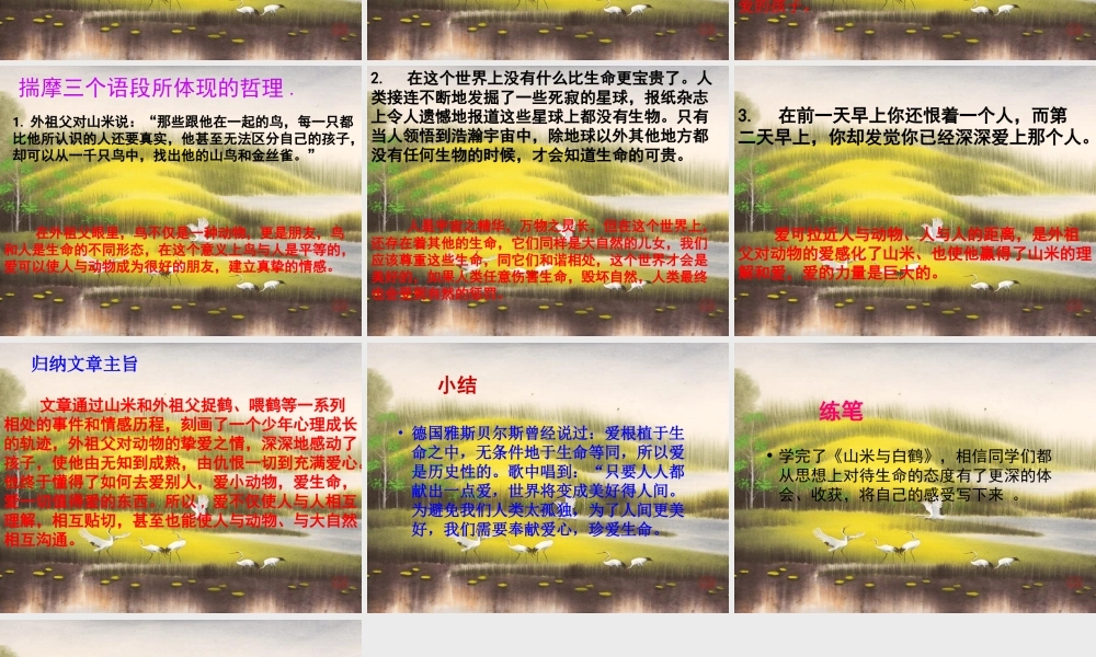 《山米与白鹤》课件2