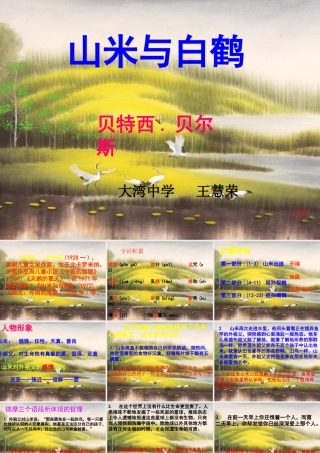 《山米与白鹤》课件2