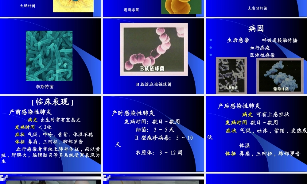 新生儿感染性肺炎讲稿