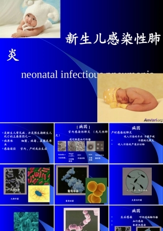 新生儿感染性肺炎讲稿