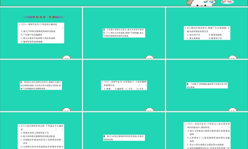 版七年级生物下册 第四单元 生物圈中的人 第一章 人的由来 2 人的生殖训练课件 新人教版 课件