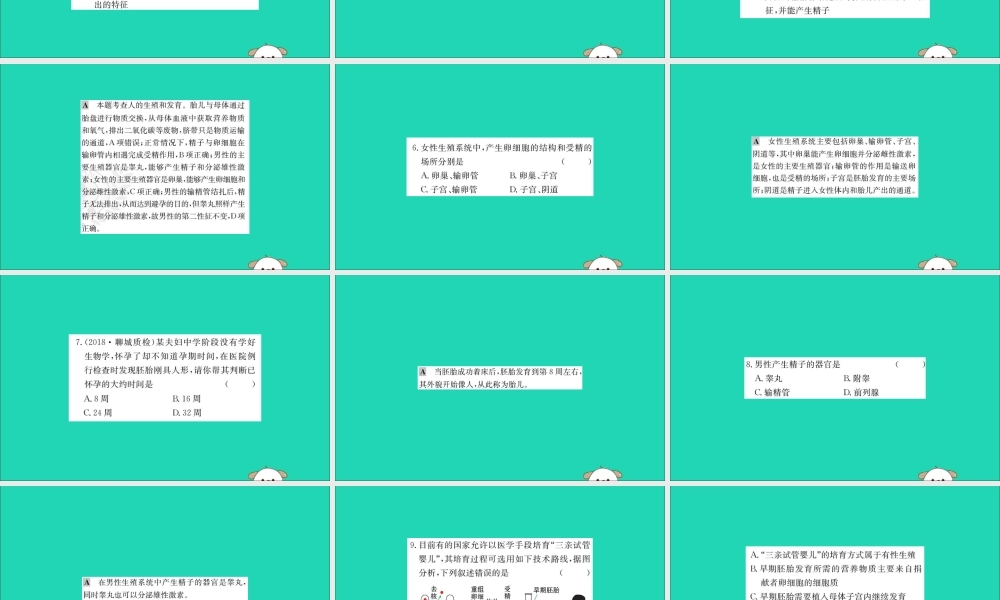 版七年级生物下册 第四单元 生物圈中的人 第一章 人的由来 2 人的生殖训练课件 新人教版 课件