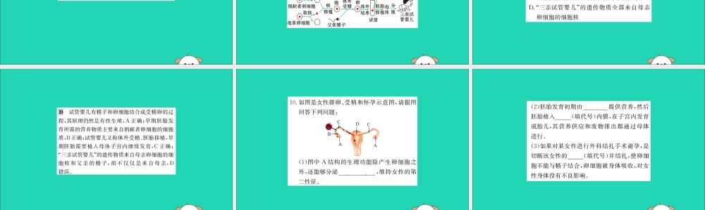 版七年级生物下册 第四单元 生物圈中的人 第一章 人的由来 2 人的生殖训练课件 新人教版 课件