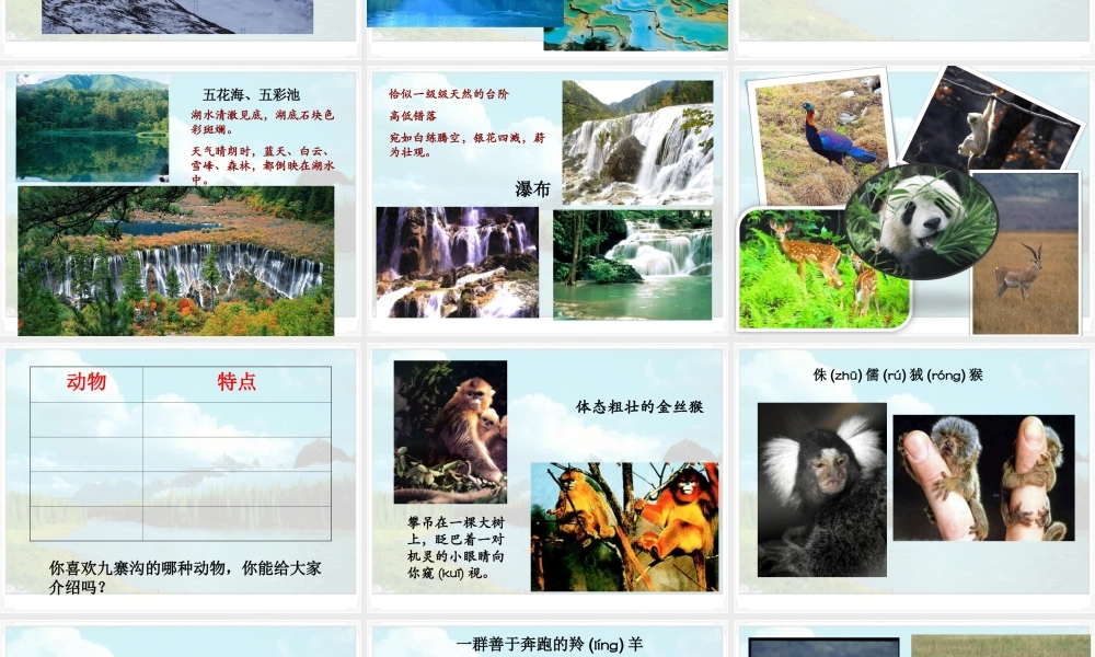 《九寨沟》课件2