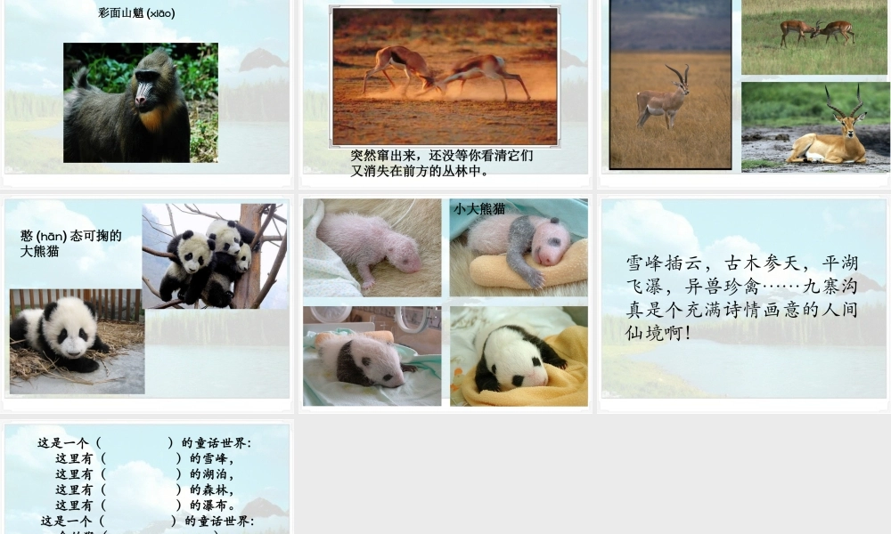 《九寨沟》课件2