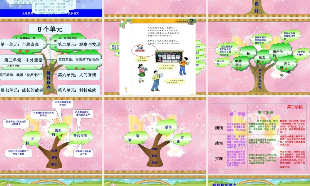 四语上第五单元雷娜