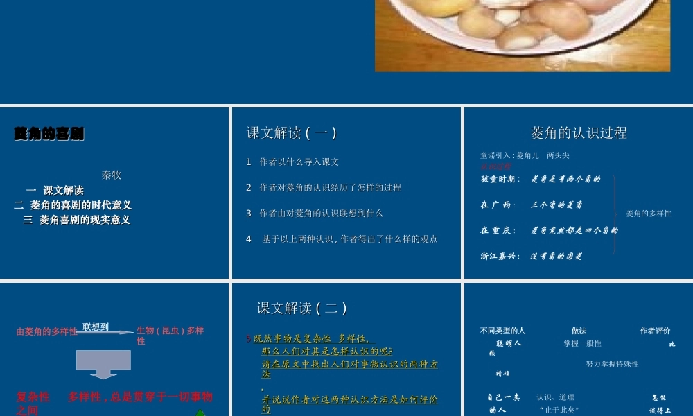 高中语文 菱角的喜剧2课件 粤教版必修2 课件