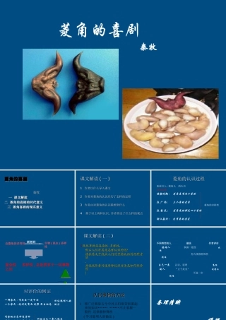 高中语文 菱角的喜剧2课件 粤教版必修2 课件