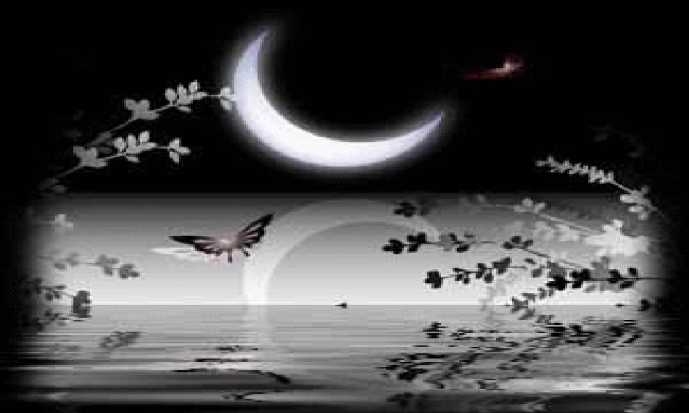 高中英语 Language points & exercises课件 新人教版必修3 课件