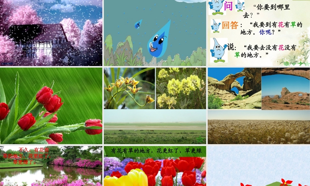 课文12《雨点儿》PPT课件