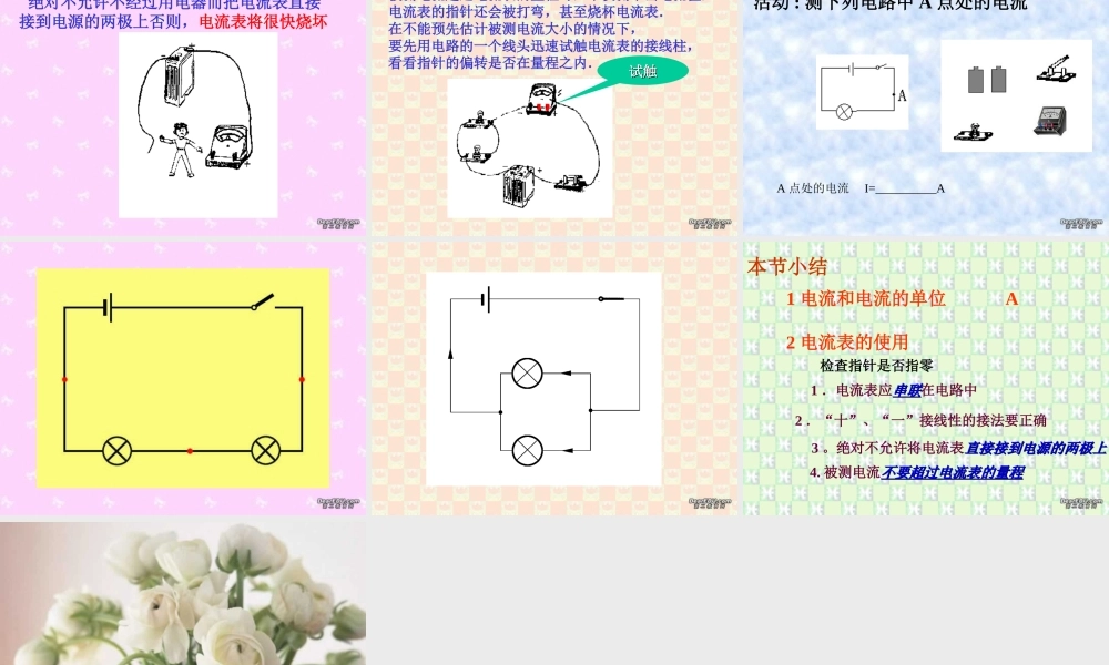 第三节 电流和电流表的使用 课件