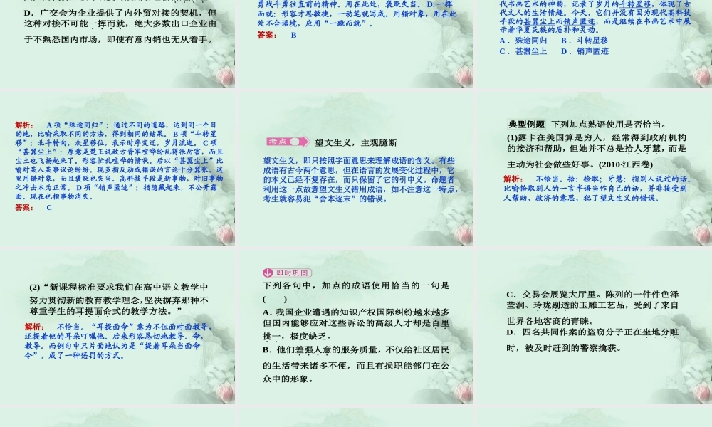 高考语文专题复习 正确使用熟语课件 新人教版 课件