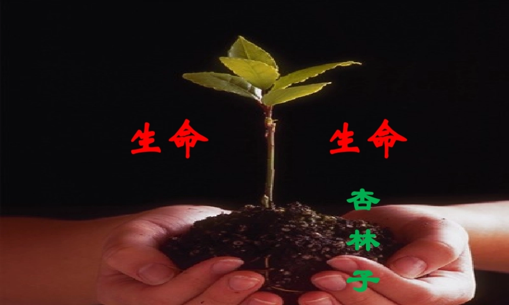 生命生命PPT课件