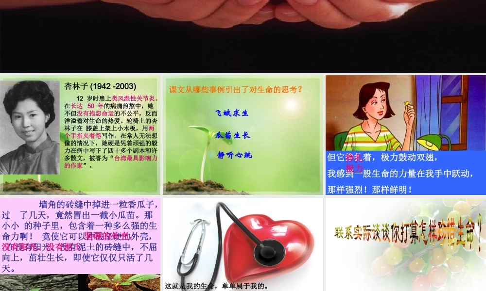 生命生命PPT课件