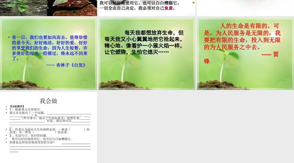 生命生命PPT课件